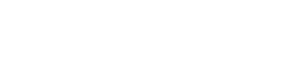FLEX Logo